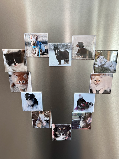 9 Pack Custom Photo Magnets